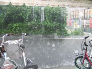 DSCF6663.jpg