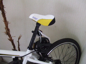 DSCF6054.jpg