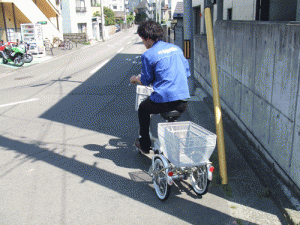 DSCF6288.gif