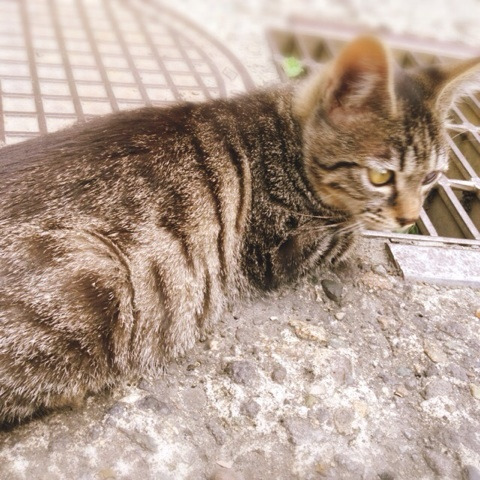 {00B09584-5D74-4C3A-9991-0E0945D72086:01}