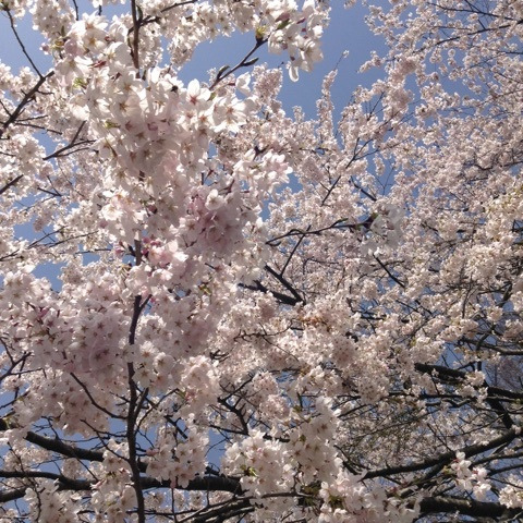 {3519EB1F-9DFD-4766-90E7-421A7338FE99}