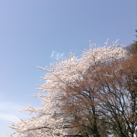 {BE88CF3E-4611-407A-A268-C3A808011F41}