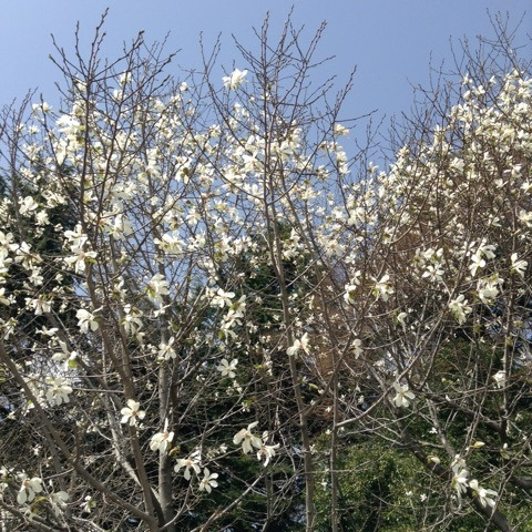 {D8B1B934-00A4-4ED5-A3AD-0C7F7D920DF4}