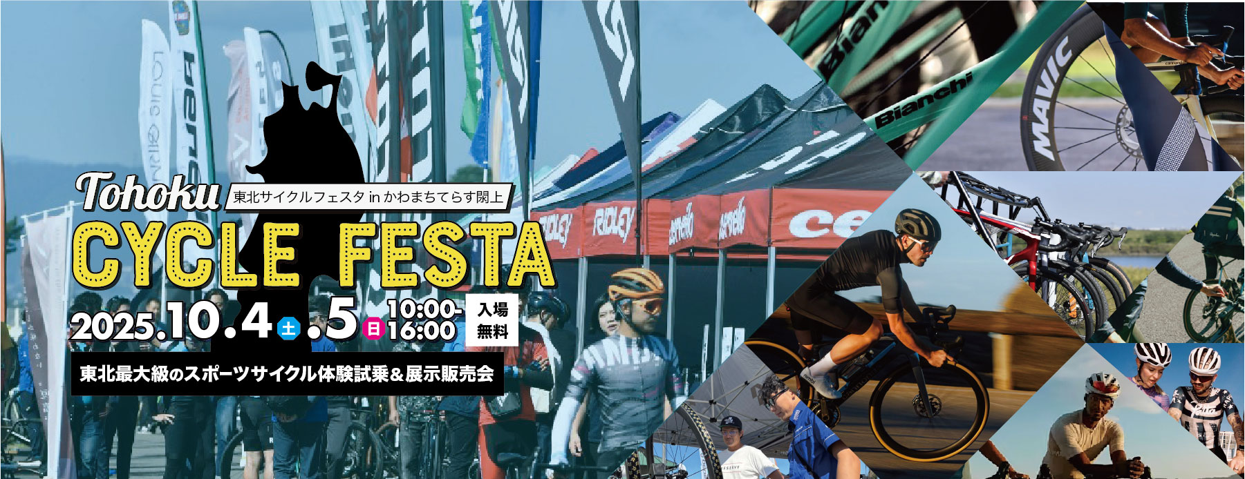 Rosa Passos ／festa フェスタ Rosa Passos - 