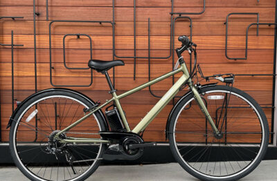 ベロスター限定色（E-FVS771G）